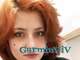 GarminViV