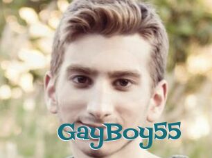 GayBoy55