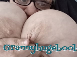 Grannyhugeboobs