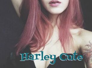 Harley_Cute