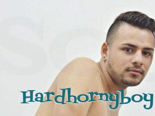 Hardhornyboy