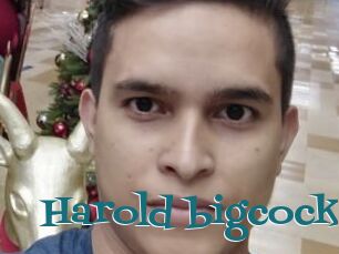 Harold_bigcock