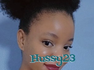 Hussy23