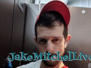 JakeMitchelLive