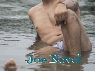 Joe_Novel