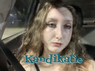 Kandikatie