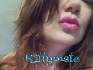 Kittymate