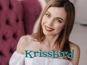 Krissbird