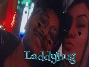 Laddybug