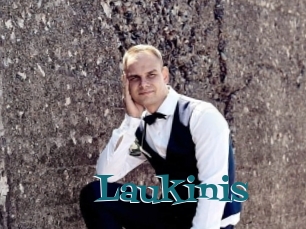 Laukinis