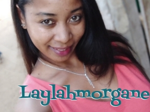 Laylahmorgane