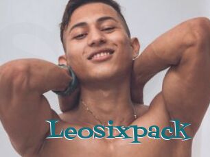 Leosixpack