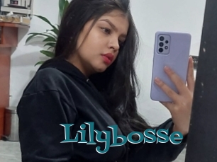 Lilybosse