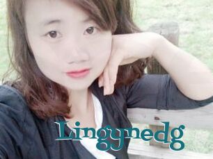 Lingynedg