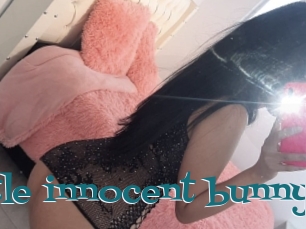 Little_innocent_bunny