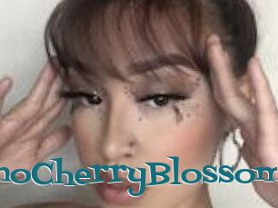 MaraschinoCherryBlossom