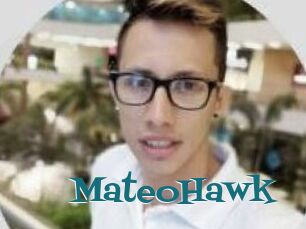 MateoHawk