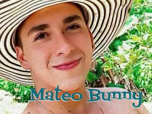 Mateo_Bunny