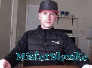 MisterShnake