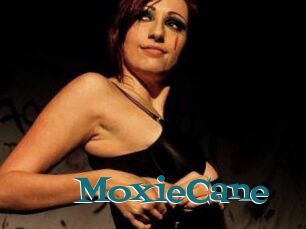 Moxie_Cane