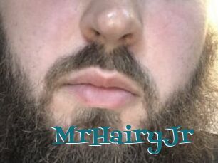 MrHairyJr