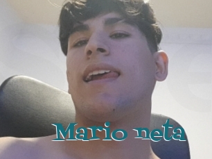 Mario_neta