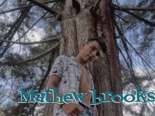 Mathew_brooks