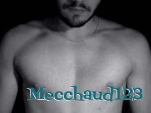 Mecchaud123