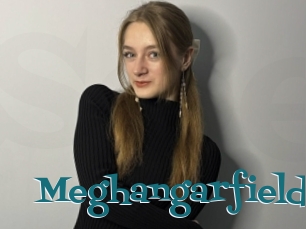 Meghangarfield