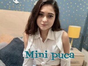 Mini_puca
