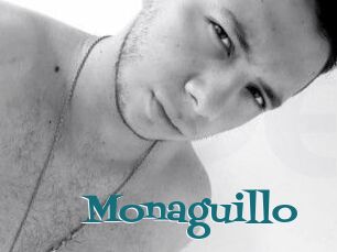 Monaguillo