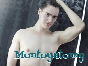 Montoyatomy