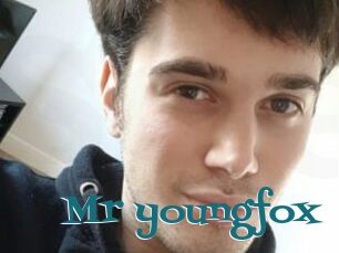 Mr_youngfox