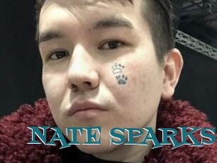 NATE_SPARKS