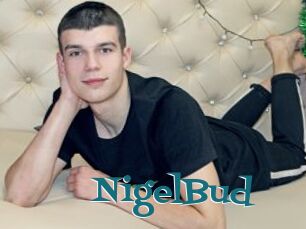 NigelBud