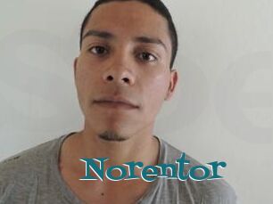 Noren_tor