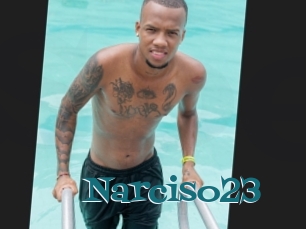 Narciso23