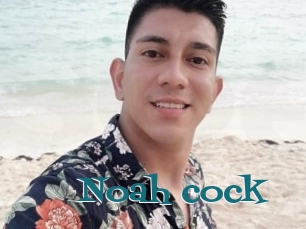 Noah_cock