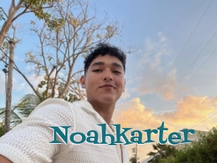 Noahkarter