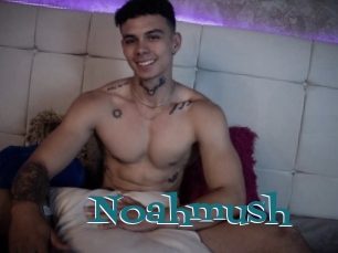 Noahmush