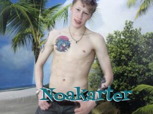 Noakarter