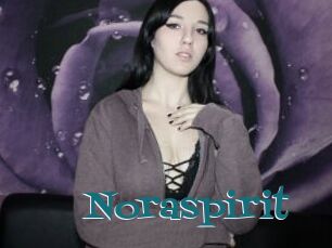 Noraspirit