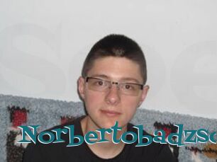 Norbertobadzso