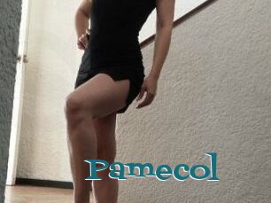 Pamecol