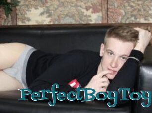 PerfectBoyToy