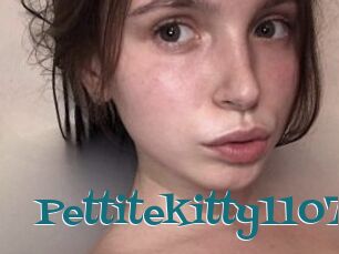 Pettitekitty1107
