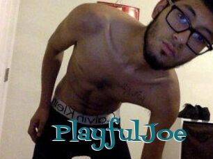 PlayfulJoe