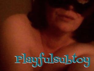 Playfulsubtoy