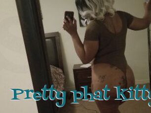 Pretty_phat_kitty