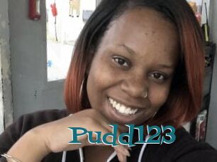 Pudd123